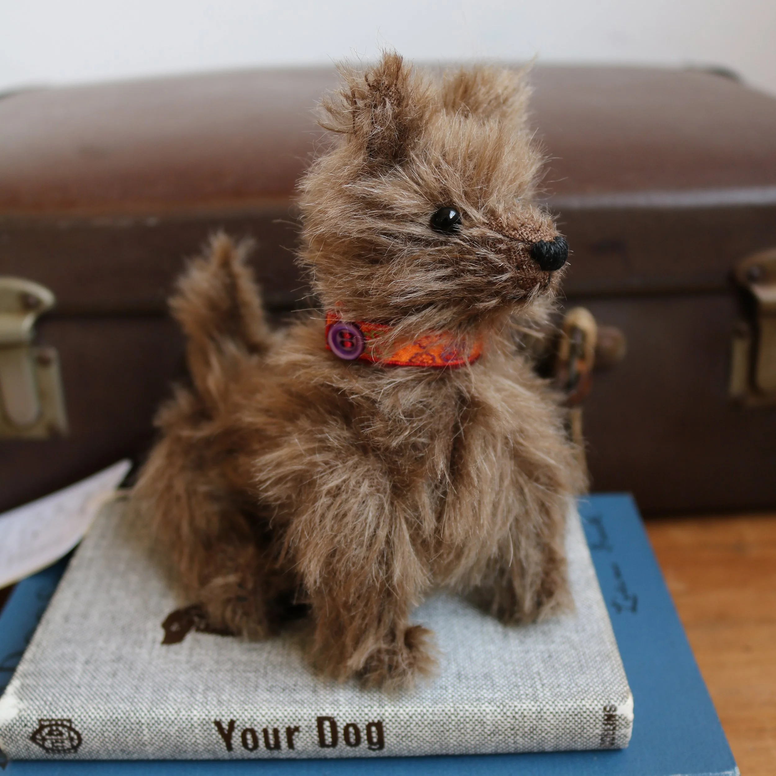 Toy cairn terrier 2025